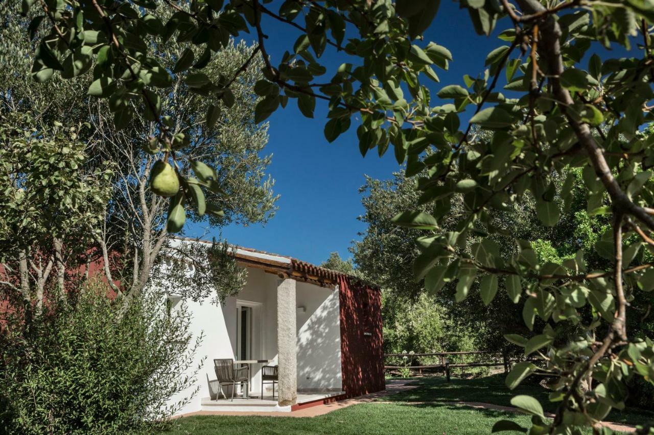 Hotel Li Neuli Country Club San Pantaleo Exteriér fotografie